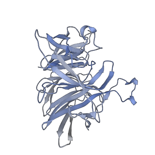 7851_6dbv_B_v1-2
Cryo-EM structure of RAG in complex with 12-RSS and 23-RSS substrate DNAs