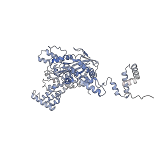 7851_6dbv_C_v1-2
Cryo-EM structure of RAG in complex with 12-RSS and 23-RSS substrate DNAs