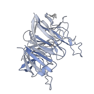 7851_6dbv_D_v1-2
Cryo-EM structure of RAG in complex with 12-RSS and 23-RSS substrate DNAs