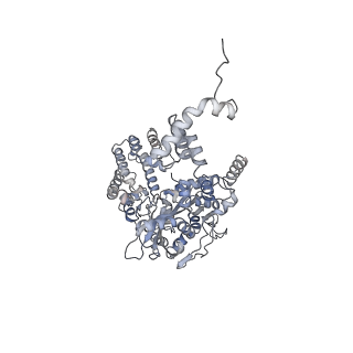 7852_6dbw_A_v1-2
Cryo-EM structure of RAG in complex with 12-RSS substrate DNA