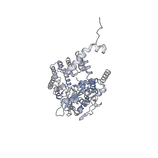 7852_6dbw_A_v1-3
Cryo-EM structure of RAG in complex with 12-RSS substrate DNA