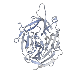 7852_6dbw_B_v1-2
Cryo-EM structure of RAG in complex with 12-RSS substrate DNA