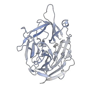 7852_6dbw_B_v1-3
Cryo-EM structure of RAG in complex with 12-RSS substrate DNA