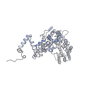 7852_6dbw_C_v1-2
Cryo-EM structure of RAG in complex with 12-RSS substrate DNA