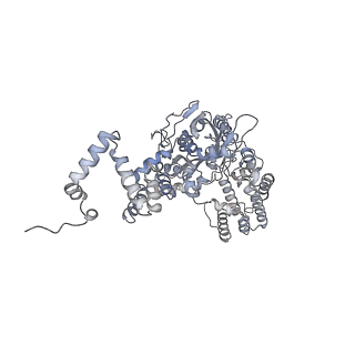 7852_6dbw_C_v1-3
Cryo-EM structure of RAG in complex with 12-RSS substrate DNA