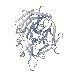7852_6dbw_D_v1-2
Cryo-EM structure of RAG in complex with 12-RSS substrate DNA
