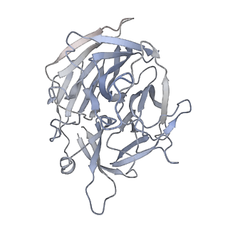 7852_6dbw_D_v1-3
Cryo-EM structure of RAG in complex with 12-RSS substrate DNA