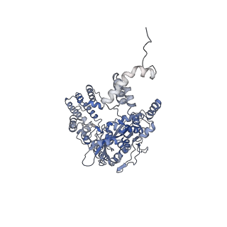 7853_6dbx_A_v1-2
Cryo-EM structure of RAG in complex with 12-RSS substrate DNA