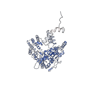7853_6dbx_A_v1-3
Cryo-EM structure of RAG in complex with 12-RSS substrate DNA