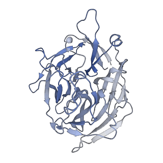 7853_6dbx_B_v1-2
Cryo-EM structure of RAG in complex with 12-RSS substrate DNA