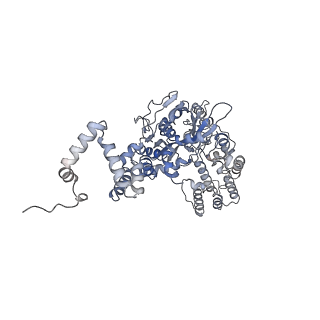 7853_6dbx_C_v1-3
Cryo-EM structure of RAG in complex with 12-RSS substrate DNA