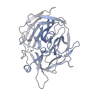7853_6dbx_D_v1-2
Cryo-EM structure of RAG in complex with 12-RSS substrate DNA