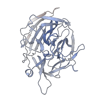 7853_6dbx_D_v1-3
Cryo-EM structure of RAG in complex with 12-RSS substrate DNA