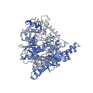 27320_8dc2_A_v1-0
Cryo-EM structure of CasLambda (Cas12l) bound to crRNA and DNA