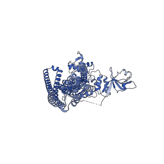 27326_8dck_A_v1-0
Structure of hemolysin A secretion system HlyB/D complex, ATP-bound