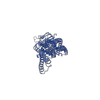 27326_8dck_B_v1-0
Structure of hemolysin A secretion system HlyB/D complex, ATP-bound