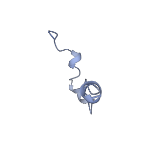 27326_8dck_C_v1-0
Structure of hemolysin A secretion system HlyB/D complex, ATP-bound