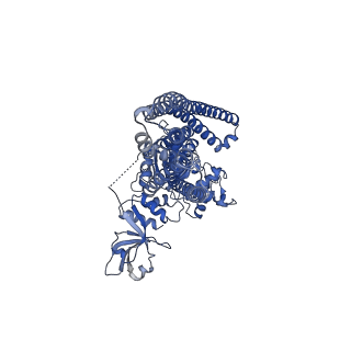 27326_8dck_E_v1-0
Structure of hemolysin A secretion system HlyB/D complex, ATP-bound