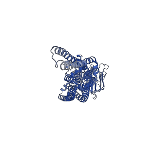 27326_8dck_F_v1-0
Structure of hemolysin A secretion system HlyB/D complex, ATP-bound