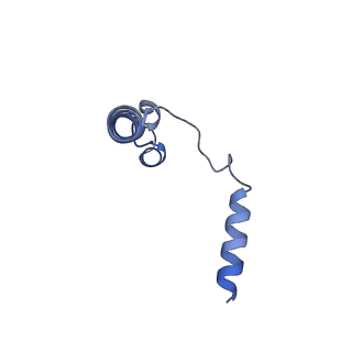 27326_8dck_H_v1-0
Structure of hemolysin A secretion system HlyB/D complex, ATP-bound