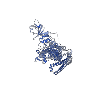 27326_8dck_I_v1-0
Structure of hemolysin A secretion system HlyB/D complex, ATP-bound