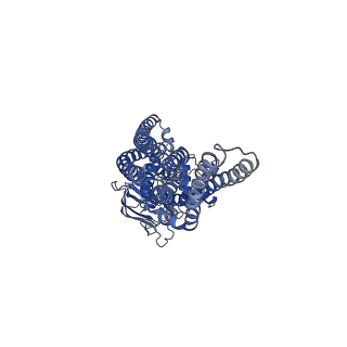 27326_8dck_J_v1-0
Structure of hemolysin A secretion system HlyB/D complex, ATP-bound