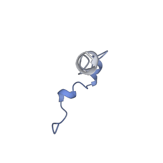 27326_8dck_K_v1-0
Structure of hemolysin A secretion system HlyB/D complex, ATP-bound