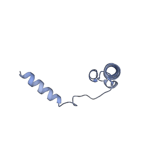 27326_8dck_L_v1-0
Structure of hemolysin A secretion system HlyB/D complex, ATP-bound