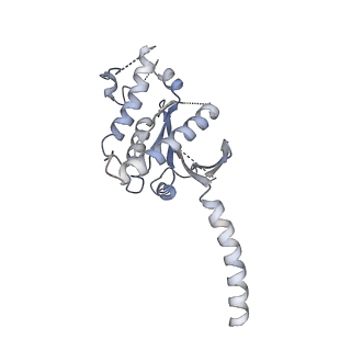 27328_8dcr_A_v1-0
Cryo-EM structure of dobutamine-bound beta1-adrenergic receptor in complex with heterotrimeric Gs-protein