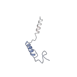 27328_8dcr_G_v1-0
Cryo-EM structure of dobutamine-bound beta1-adrenergic receptor in complex with heterotrimeric Gs-protein