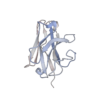 27328_8dcr_N_v1-0
Cryo-EM structure of dobutamine-bound beta1-adrenergic receptor in complex with heterotrimeric Gs-protein