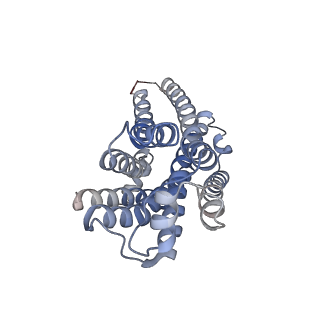 27328_8dcr_R_v1-0
Cryo-EM structure of dobutamine-bound beta1-adrenergic receptor in complex with heterotrimeric Gs-protein