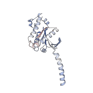 27329_8dcs_A_v1-0
Cryo-EM structure of cyanopindolol-bound beta1-adrenergic receptor in complex with heterotrimeric Gs-protein