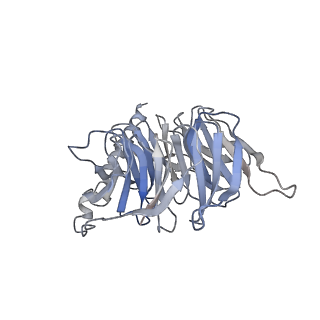 27329_8dcs_B_v1-0
Cryo-EM structure of cyanopindolol-bound beta1-adrenergic receptor in complex with heterotrimeric Gs-protein