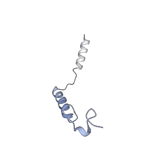 27329_8dcs_G_v1-0
Cryo-EM structure of cyanopindolol-bound beta1-adrenergic receptor in complex with heterotrimeric Gs-protein