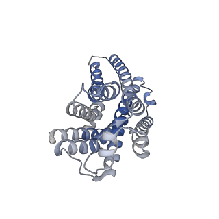 27329_8dcs_R_v1-0
Cryo-EM structure of cyanopindolol-bound beta1-adrenergic receptor in complex with heterotrimeric Gs-protein