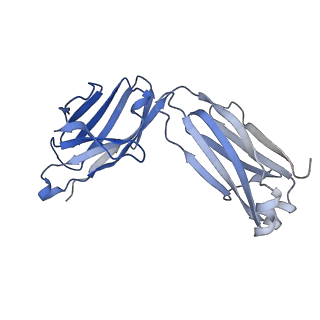 30636_7dce_L_v1-0
Cryo-EM structure of human XKR8-basigin complex bound to Fab fragment