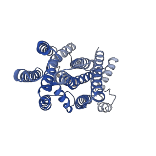30636_7dce_X_v1-0
Cryo-EM structure of human XKR8-basigin complex bound to Fab fragment