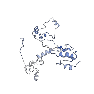 30637_7dco_2_v1-1
Cryo-EM structure of the activated spliceosome (Bact complex) at an atomic resolution of 2.5 angstrom