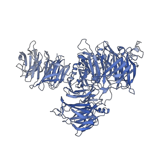 30637_7dco_3_v1-0
Cryo-EM structure of the activated spliceosome (Bact complex) at an atomic resolution of 2.5 angstrom