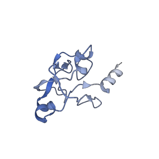 30637_7dco_5_v1-1
Cryo-EM structure of the activated spliceosome (Bact complex) at an atomic resolution of 2.5 angstrom