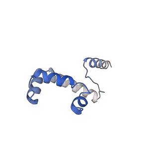 30637_7dco_6_v1-0
Cryo-EM structure of the activated spliceosome (Bact complex) at an atomic resolution of 2.5 angstrom
