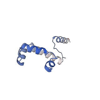 30637_7dco_6_v1-1
Cryo-EM structure of the activated spliceosome (Bact complex) at an atomic resolution of 2.5 angstrom