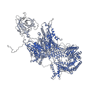 30637_7dco_A_v1-0
Cryo-EM structure of the activated spliceosome (Bact complex) at an atomic resolution of 2.5 angstrom