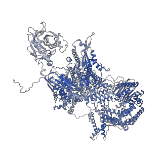 30637_7dco_A_v1-1
Cryo-EM structure of the activated spliceosome (Bact complex) at an atomic resolution of 2.5 angstrom