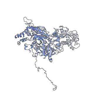 30637_7dco_C_v1-1
Cryo-EM structure of the activated spliceosome (Bact complex) at an atomic resolution of 2.5 angstrom