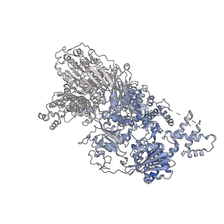 30637_7dco_D_v1-0
Cryo-EM structure of the activated spliceosome (Bact complex) at an atomic resolution of 2.5 angstrom