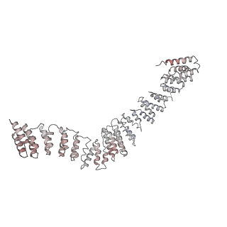 30637_7dco_I_v1-1
Cryo-EM structure of the activated spliceosome (Bact complex) at an atomic resolution of 2.5 angstrom