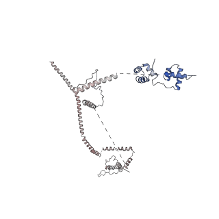30637_7dco_L_v1-0
Cryo-EM structure of the activated spliceosome (Bact complex) at an atomic resolution of 2.5 angstrom
