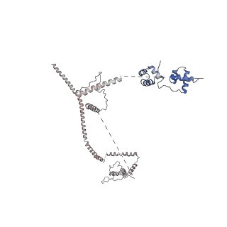 30637_7dco_L_v1-1
Cryo-EM structure of the activated spliceosome (Bact complex) at an atomic resolution of 2.5 angstrom